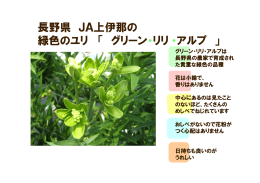 長野県 JA上伊那の 緑色のユリ 「 グリーン ・リリ・アルプ 」