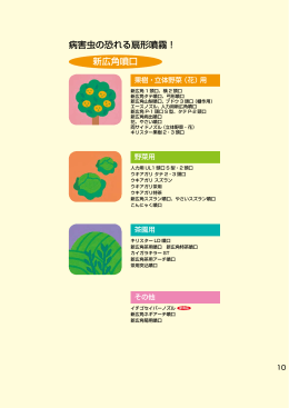 病害虫の恐れる扇形噴霧！ 新広角噴口