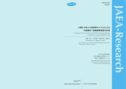 土壌に分布した放射性セシウムによる 外部被ばく線量換算係数の計算
