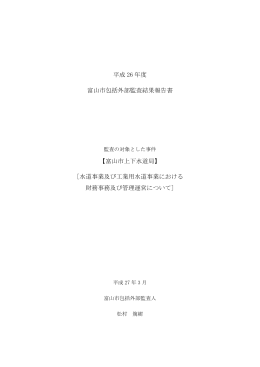 外部監査の概要～監査結果の詳細