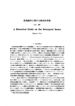 洗剤論争に関する歴史的考察