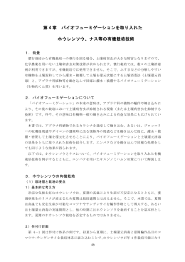 第 4 章 バイオフューミゲーションを取り入れた ホウレンソウ、ナス等の