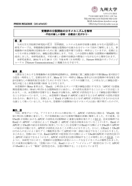 受精卵の分裂開始の分子メカニズムを解明