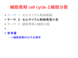 細胞周期 cell cycle と細胞分裂