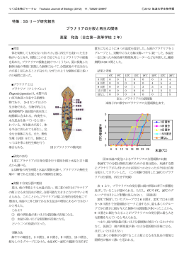 プラナリアの分裂と再生の関係