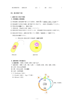2章。遺伝情報の分配 1. 細胞分裂とDNAの複製 A. 原核細胞と真核細胞