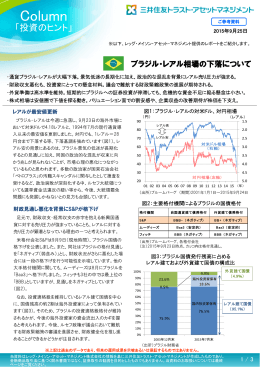 ブラジル・レアル相場の下落について