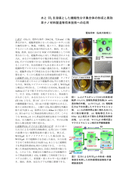 水と CO2 を溶媒とした機能性分子集合体の形成と高効 率ナノ材料製造