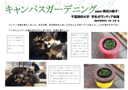 第四回（開花の様子） 千葉商科大学 学生ボランティア会議