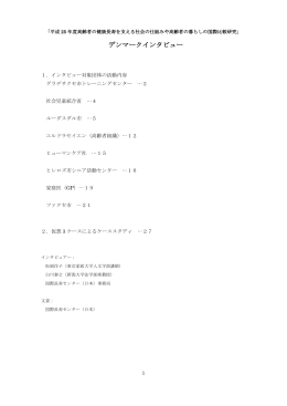 デンマークインタビュー