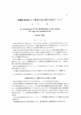 浮游性魚卵および孵化仔魚の種の同定について - Kyushu University