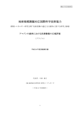 平成24年度（4600KB）