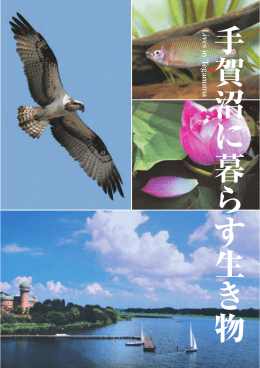 「手賀沼に暮らす生き物」（PDF：2472KB）