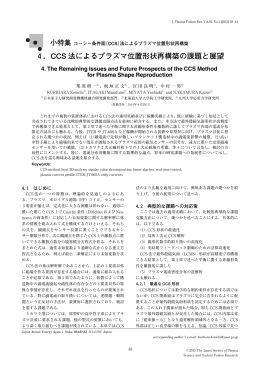 4．CCS 法によるプラズマ位置形状再構築の課題と展望