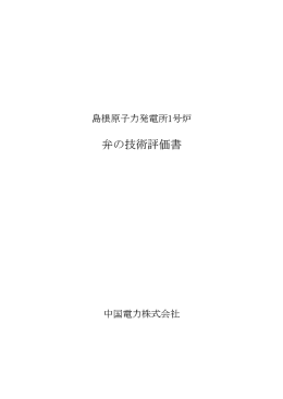 島根原子力発電所1号炉高経年化技術評価書（別冊2）【PDF：8.7MB】