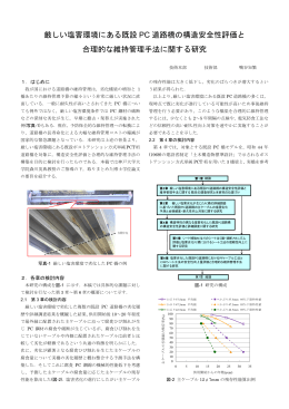 厳しい塩害環境にある既設 PC 道路橋の構造安全性評価と 合理的な