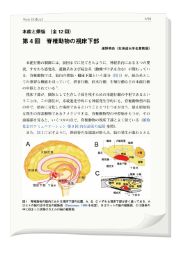 第 4 回 脊椎動物の視床下部