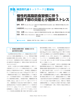 慢性的高脂肪食習慣に伴う 視床下部の炎症と小胞体ストレス