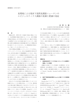 食環境による視床下部摂食調節ニューロンの エピ