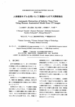 人体解剖モデルを用いた CT画像からの下大静脈抽出