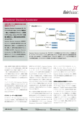 Fair Isaac Capstone Decision Accelerator