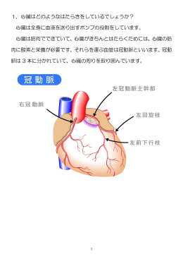 1．心臓はどのようなはたらきをしているでしょうか？ 心臓は全身に血液を