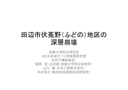 田辺市伏菟野（ふどの）地区の 深層崩壊