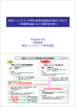 新型インフルエンザ等対策特別措置法の施行に向けて ～有識者会議