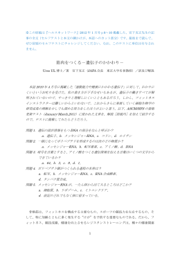 筋肉をつくる－遺伝子のかかわり－