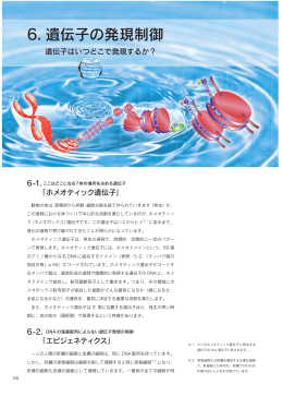 6. 遺伝子の発現制御 （PDFファイル： 3.1MB）