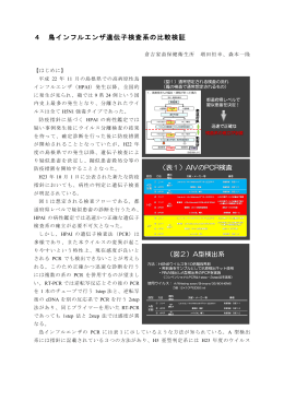 4 鳥インフルエンザ遺伝子検査系の比較検証