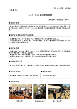 インターネット動画配信事業(PDF 372KB)