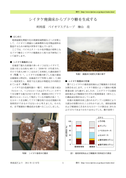 シイタケ廃菌床からブドウ糖を生成する