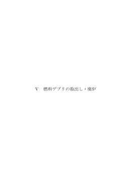 Ⅴ 燃料デブリの取出し・廃炉