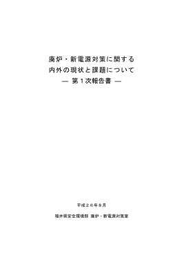 廃炉・新電源対策に関する 内外の現状と課題について ― 第1次報告書 ―