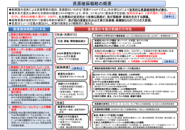 資源確保戦略の概要