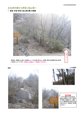正丸峠方面から伊豆ヶ岳山頂へ（PDF：899KB）