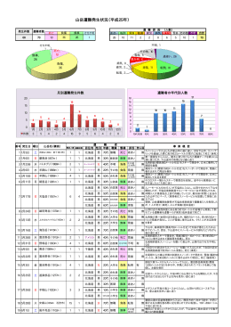 山岳遭難発生状況（平成25年）