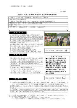 「岳の幟祭礼」継承保存並びにPR事業（PDF：163KB）