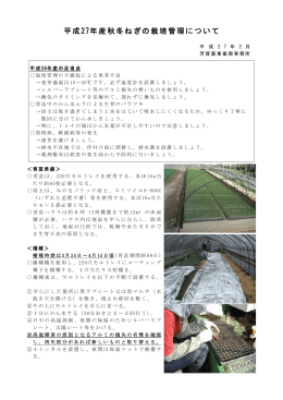 平成27年産秋冬ねぎの栽培管理について（PDF：2116KB）