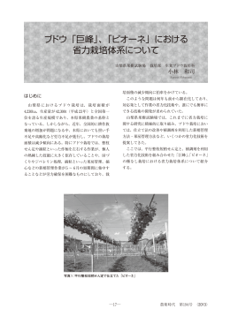 ブドウ「巨峰」、「ピオーネ」における 省力栽培体系について