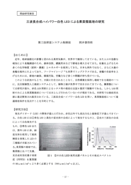 三波長合成ハイパワー白色 LEDによる果菜類栽培の研究 度