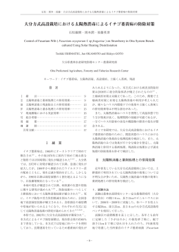 大分方式高設栽培における太陽熱消毒によるイチゴ萎黄病の
