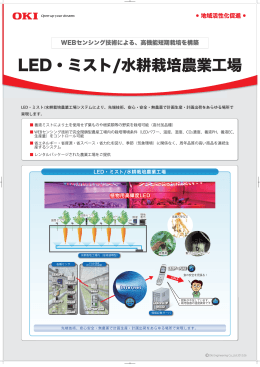 LED・ミスト/水耕栽培農業工場