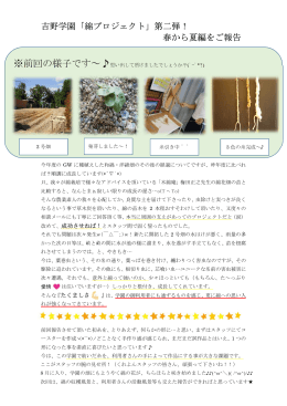 吉野学園「綿プロジェクト」第二弾！ 春から夏編をご報告