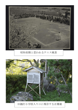 昭和初期と思われるテニス風景 旧釶打小学校入り口に現存する百葉箱