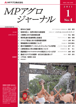 新年のご挨拶 地球の巨人：自然の偉大な創造物