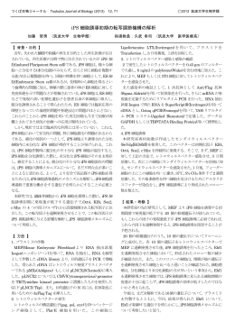 iPS 細胞誘導初期の転写調節機構の解析