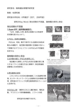 発生初期の不思議 動物種の保存と保全