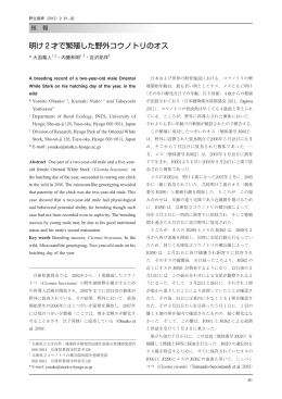 明け 2 才で繁殖した野外コウノトリのオス